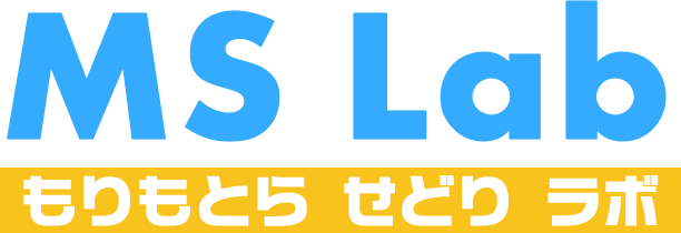 MS Lab もりもとら せどりラボ